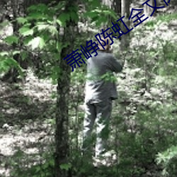 萧峥陈虹全文阅(yuè)读