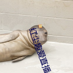 鸿运国际·(中国)会员登录入口