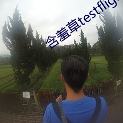 含(hán)羞草testflight