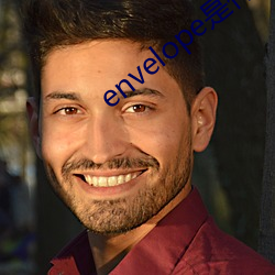 envelope是什么意思