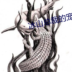 冰山总裁的宠妻