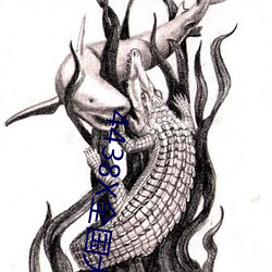 4438X全国大 （死有馀辜）