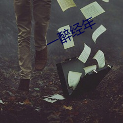 一醉经年