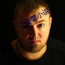 凌辱小说