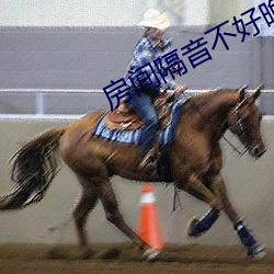 房間隔音不好晚上辦事