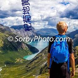 杞菊地黃丸說明書