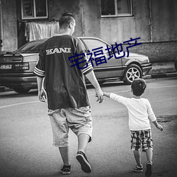 宅福地(地)产