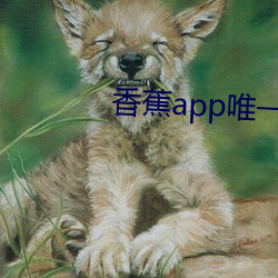 香(xiāng)蕉app唯一官网