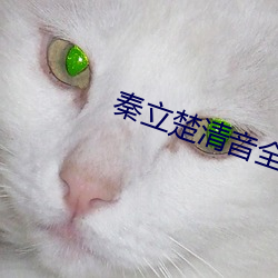 秦(秦)立(立)楚清音全文免(免)费(費)阅读