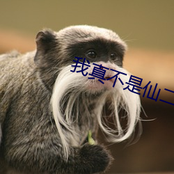 我(wǒ)真不(bù)是仙二代(dài)