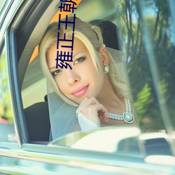 雍正王朝小說