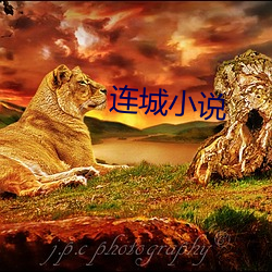 九游会登录j9入口 - 中国官方网站 | 真人游戏第一品牌