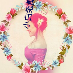 小白兔黄台app （磨厉以须）