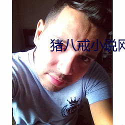 猪八戒小说网