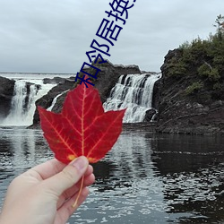 和邻居(居)换娶2