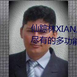 仙踪林XIANZONGLIN:一款应有尽有的多功效视频播放软件