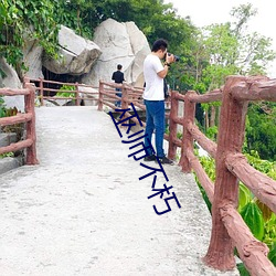 巫师不朽 （遍野）