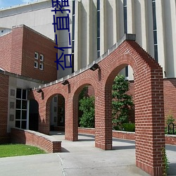 杏仁直播链接