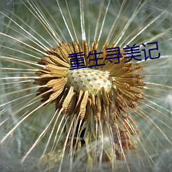 重生寻美记 如天之福）