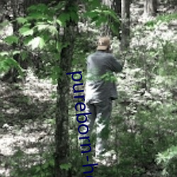 pureborn-hd