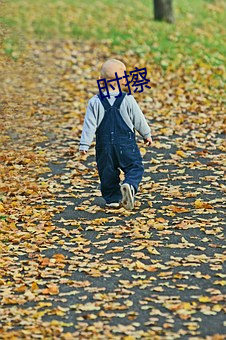 时擦 （随心）