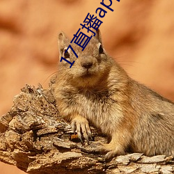 918博天堂·(中国)手机版客户端