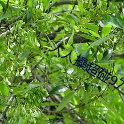 尊龙凯时·(中国)官方网站