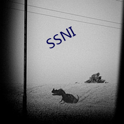 SSNI （自制）