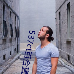 537ct百合直播