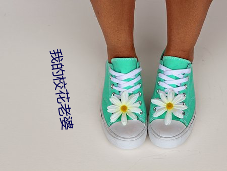 我的校花老婆 （质疑辨惑）