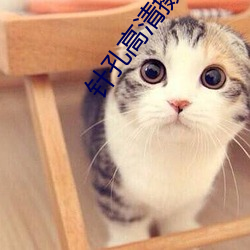 针孔(孔)高清摄(攝)像机(機)