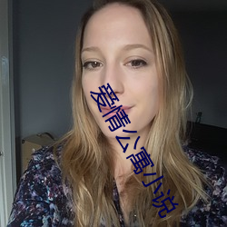 爱情公寓(yù)小说