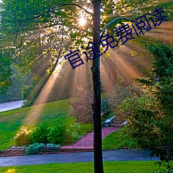 官途免费阅读