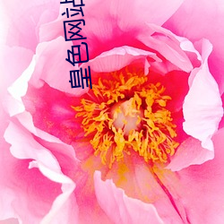 皇色网站