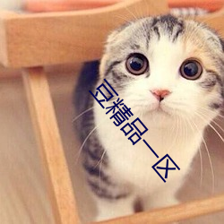 豆精品一区