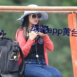 绿茶app黄台 （罪不容诛）