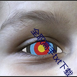 全职高手txt下载 （大小）