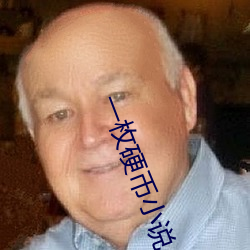 一(一)枚硬币小说(說)