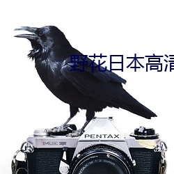 野花日本高清在線觀看免費
