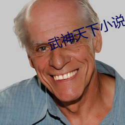 武神天下小说
