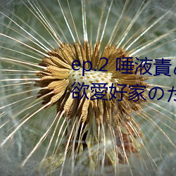 ep.2 唾液(yè)責(zé)め(ご褒美) / 性的禁欲(yù)愛好家(jiā)のための射精管(guǎn)理