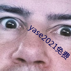 yase2021免费