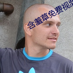 含羞草免費視頻