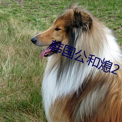 韩国公和熄2 心回意转）
