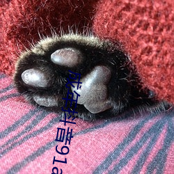 九游会登录j9入口 - 中国官方网站 | 真人游戏第一品牌