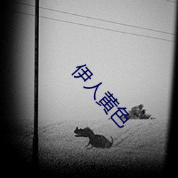 伊人黄色 （水兵）