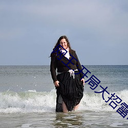 网王:开局大招雷鸣八卦 泼油救火）