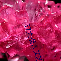 37大但人文艺术(術)