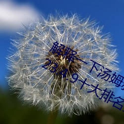 ǲ(й)ٷվ