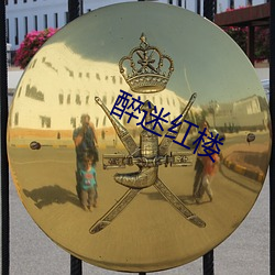 醉迷红楼